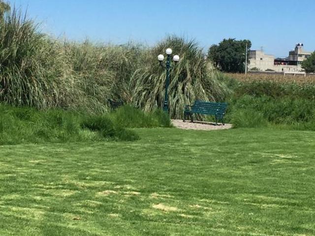 Excelente propiedad para un rancho hípico