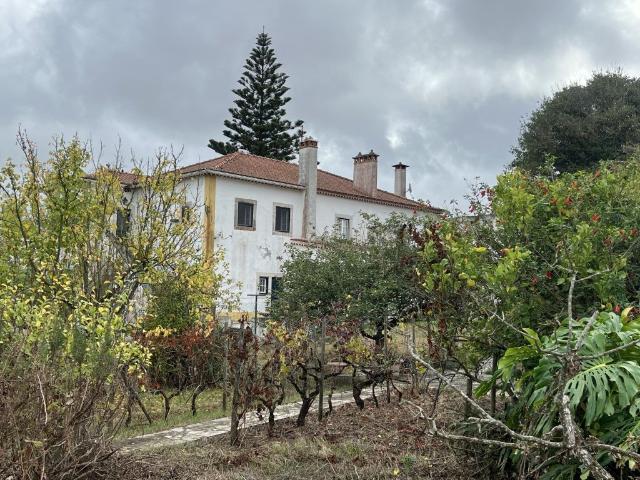 Vivenda venda em Casal de São Pedro, Torres Vedras