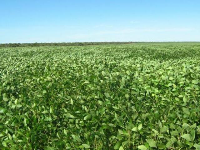 Sítio e chácara venda em Região Geográfica Imediata de Januária, Bonito de Minas