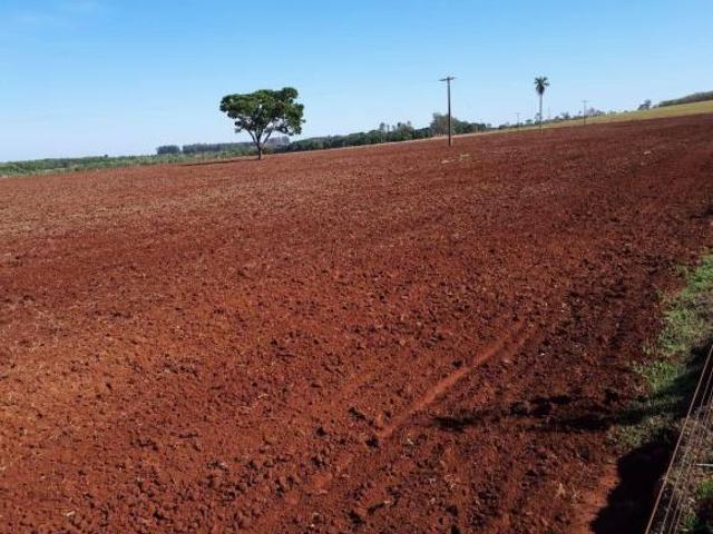 Sítio e chácara venda em Região Geográfica Imediata de Campo Grande, Terenos