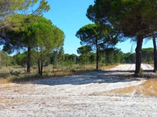Terreno venda em Grândola, Setúbal