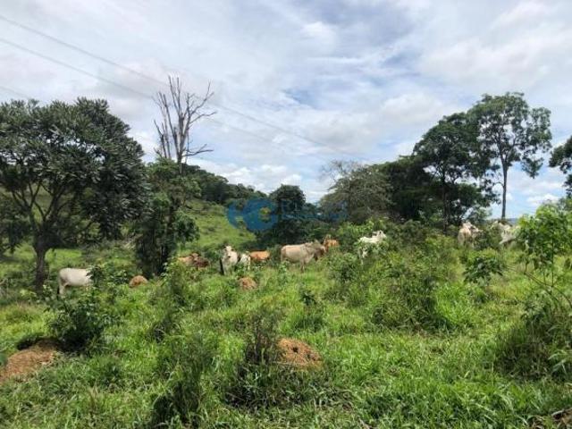Sítio e chácara venda em Santa Luzia, Centro