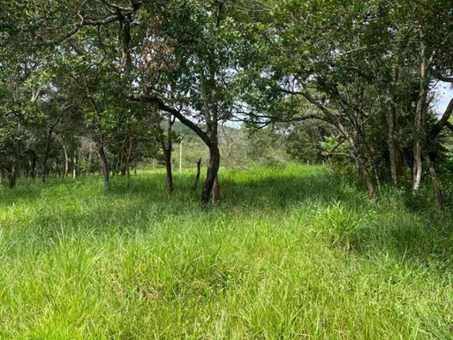 Sítio e chácara venda em Região Geográfica Imediata de Divinópolis, Itaúna
