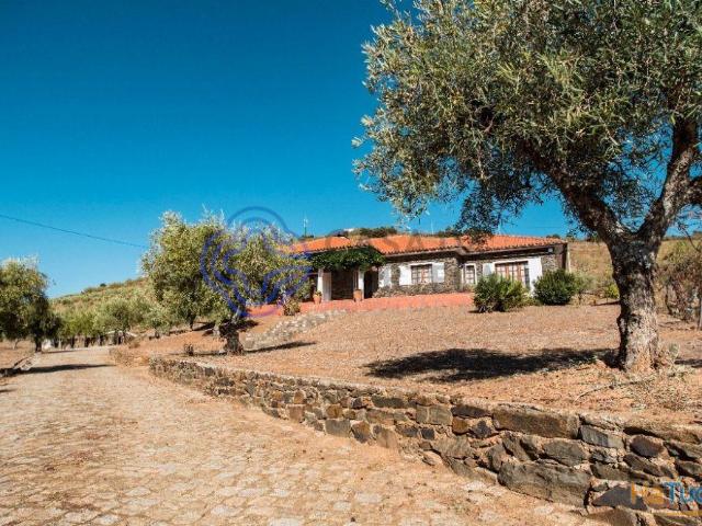 Quinta venda em Mogadouro, Bragança