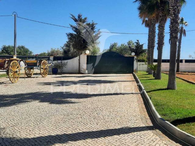 Quinta venda em Albufeira e Olhos de Água, Albufeira