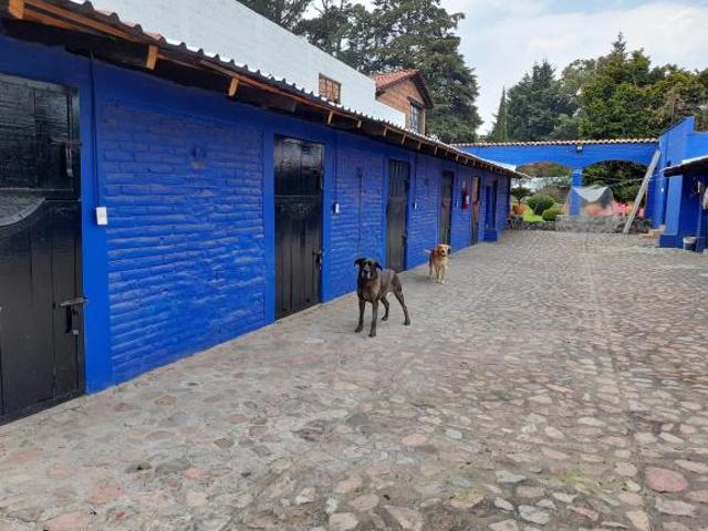 ¡Excelente Rancho a La Venta y Renta en Pleno Bosque Ajusco, para filmaciones!