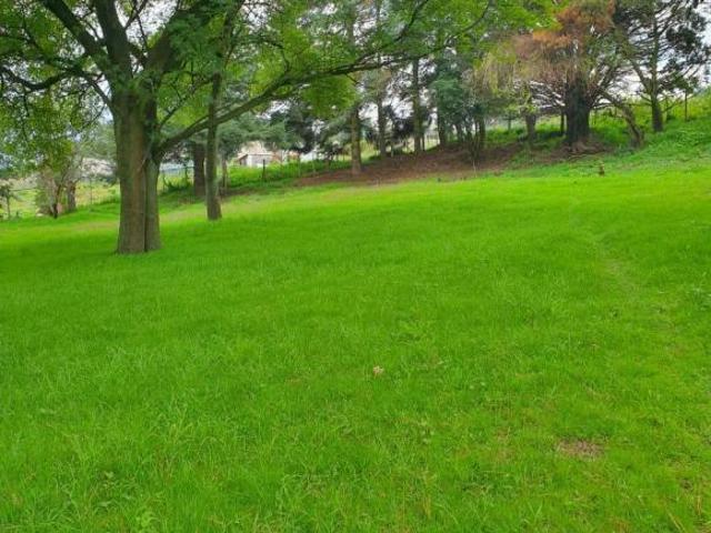 ¡Excelente Rancho a La Venta y Renta en Pleno Bosque Ajusco, para filmaciones!