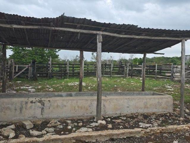 Rancho en venta en Tizimin, Tizimín