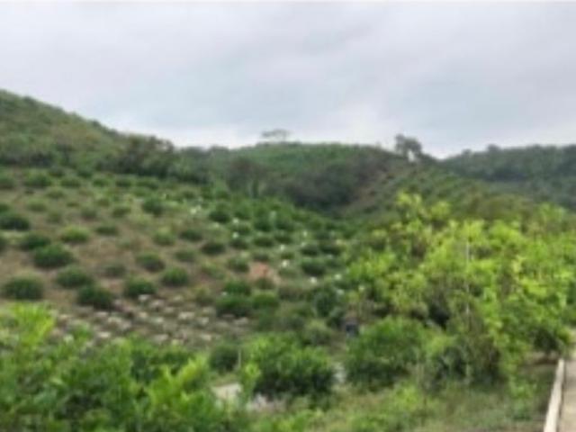 Quinta en venta en Gutiérrez Zamora, Veracruz
