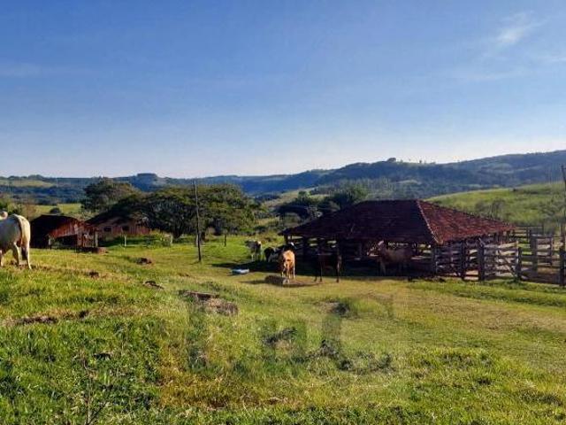 Sítio e chácara venda em Região Imediata de Marília, Marília
