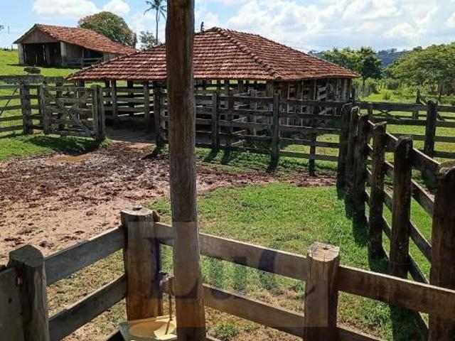 Sítio e chácara venda em Região Imediata de Marília, Marília