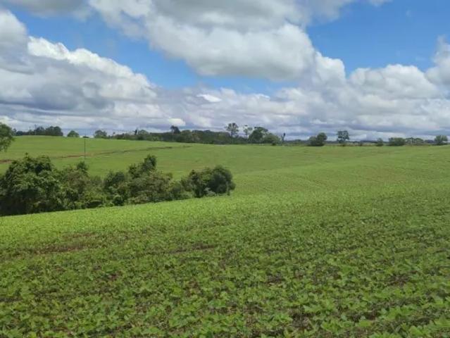 Fazenda venda em Região Imediata de Itapeva, Itararé
