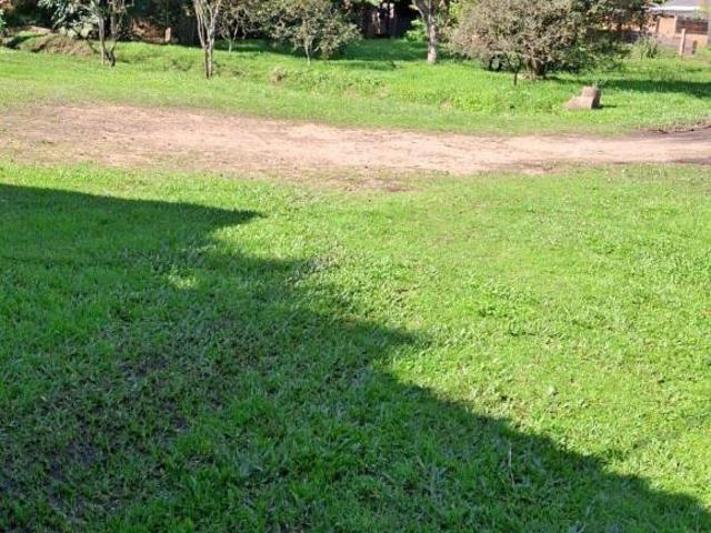 Sítio e chácara venda em Boa Vista do Sul, Porto Alegre