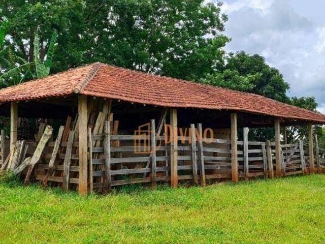 Sítio e chácara venda em Itapetininga, São Paulo