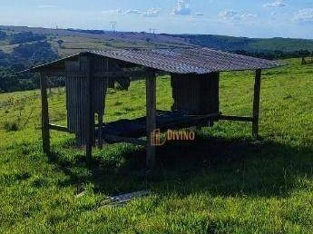 Sítio e chácara venda em Itapetininga, São Paulo