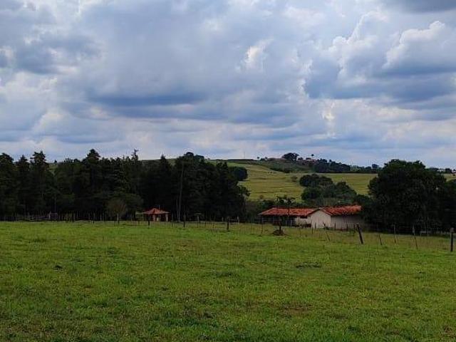 Sítio e chácara venda em Itapetininga