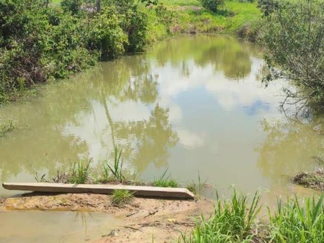Sítio e chácara venda em Região Imediata de Itapeva, Itararé