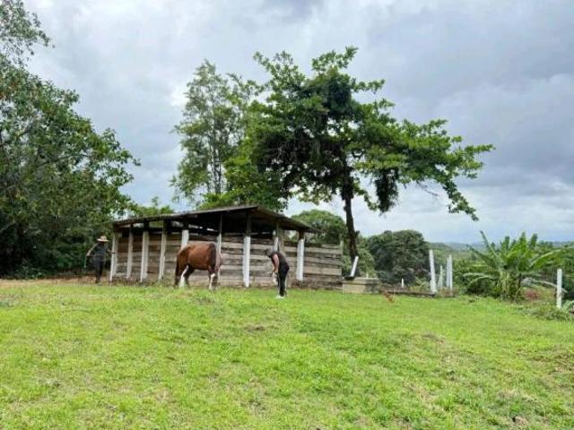 Sítio e chácara venda em Região Imediata de Registro, Juquia