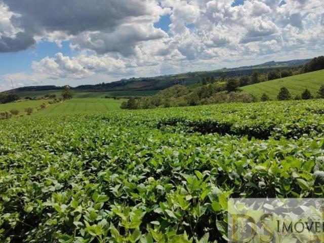 Sítio e chácara venda em Região Imediata de Itapetininga, Região Metropolitana de Sorocaba