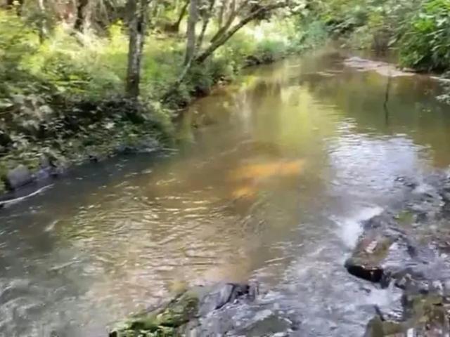 Fazenda venda em Região Imediata de Itapetininga, Região Metropolitana de Sorocaba