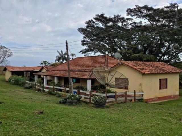 Sítio e chácara venda em Pardinho