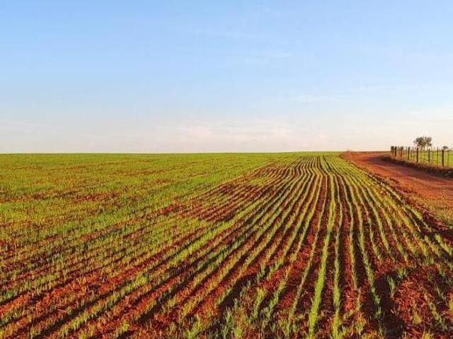 Sítio e chácara venda em Jardim Tonico Vieira, Quadra