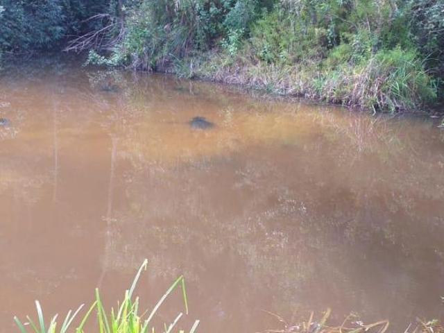 Sítio e chácara venda em Miracatu, Região Geográfica Intermediária de Sorocaba