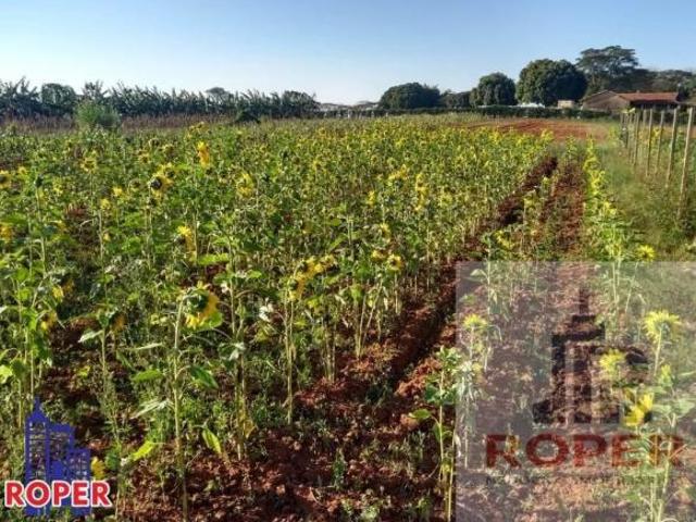Sítio e chácara venda em Região Imediata de Sorocaba, Região Metropolitana de Sorocaba