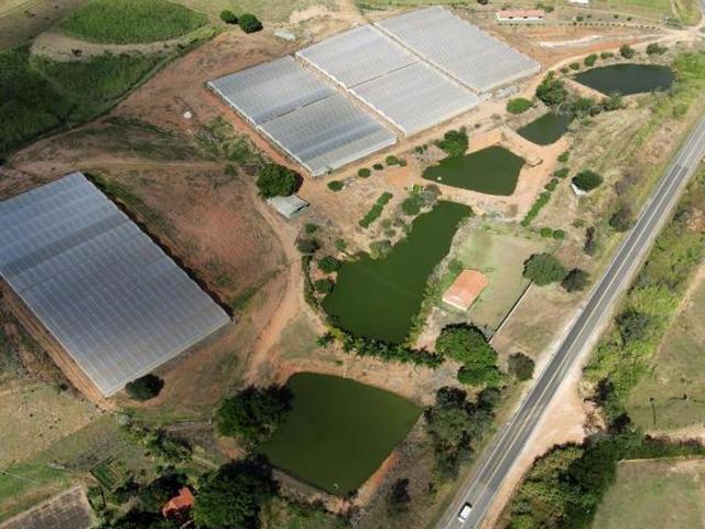 Sítio e chácara venda em Região Imediata de Amparo, Amparo