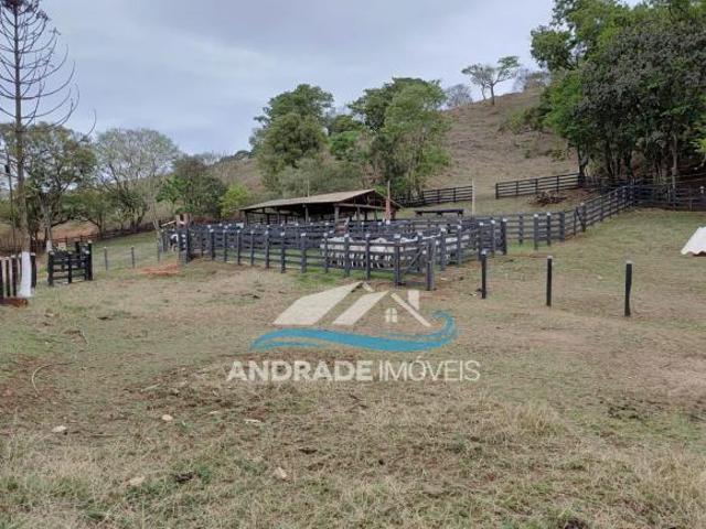 Sítio e chácara venda em Região Geográfica Imediata de Poços de Caldas, Bandeira do Sul