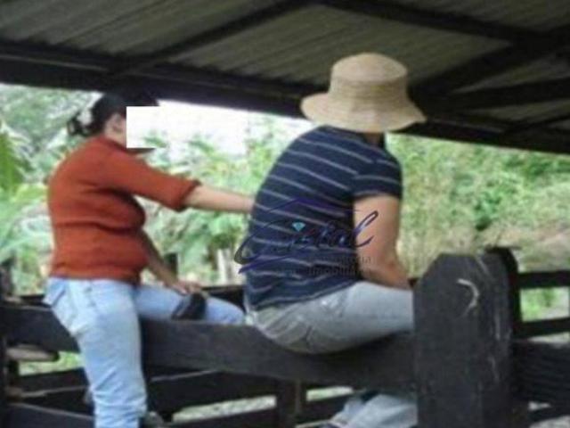 Sítio e chácara venda em Região Imediata de Registro, Juquia