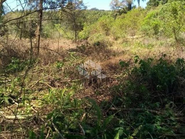Sítio e chácara venda em Região Geográfica Imediata de Novo Hamburgo - São Leopoldo, Linha Nova