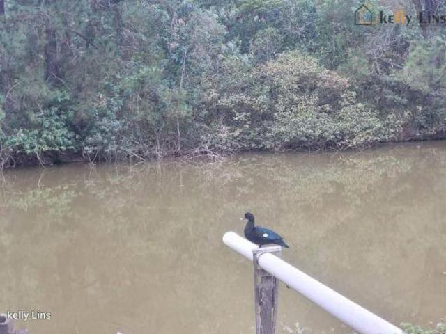 Sítio e chácara venda em Região Imediata de Amparo, Monte Alegre do Sul