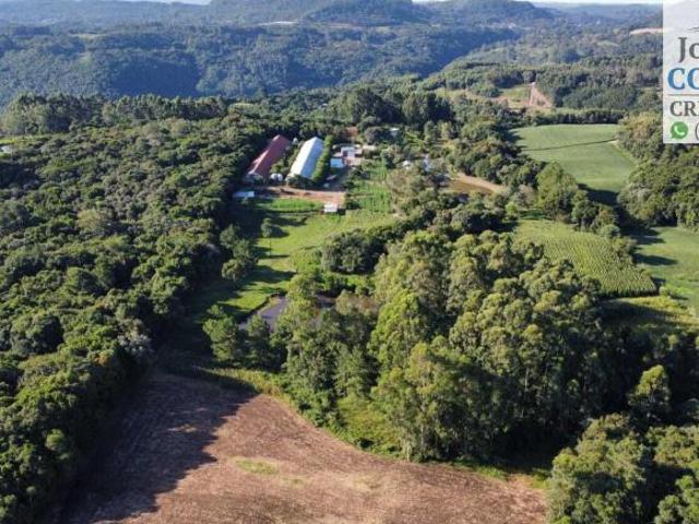 Sítio e chácara venda em Região Geográfica Imediata de Caxias do Sul, Nova Petrópolis