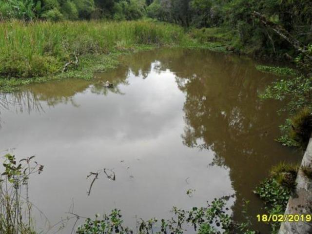 Sítio e chácara venda em Juquitiba