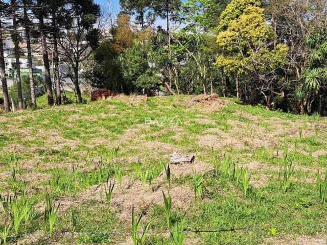 Terreno venda em Condomínio Residencial Torres, Campo Largo