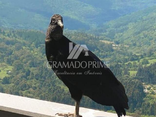 Terreno venda em Região Geográfica Imediata de Caxias do Sul, Gramado