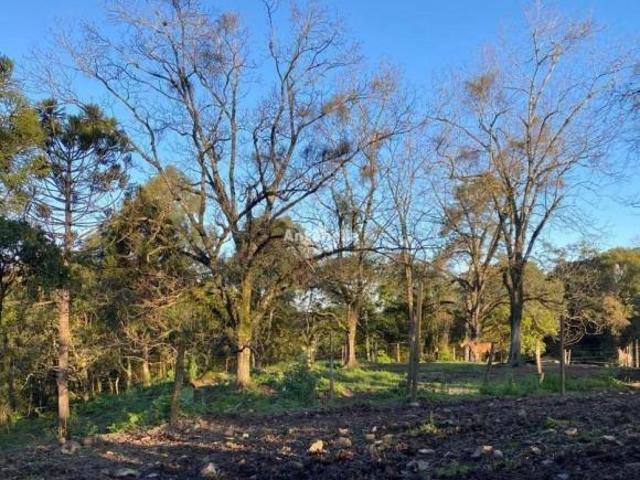 Terreno venda em Região Geográfica Imediata de Caxias do Sul, Caxias do Sul
