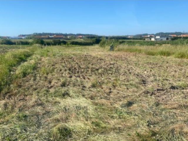 Terreno venda em Peniche, Leiria