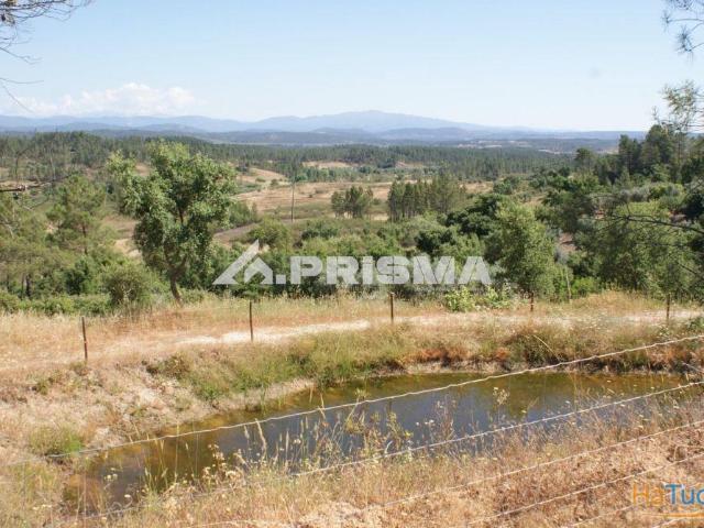 Terreno venda em Castelo Branco