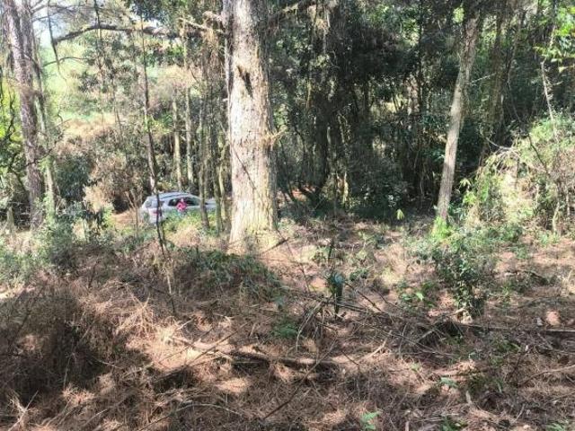 Terreno venda em Região Geográfica Imediata de Porto Alegre, Região Metropolitana de Porto Alegre