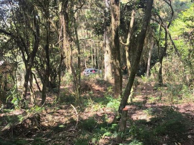 Terreno venda em Região Geográfica Imediata de Porto Alegre, Região Metropolitana de Porto Alegre