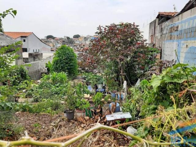 Terreno venda em Região Imediata de São Paulo, Região Metropolitana de São Paulo