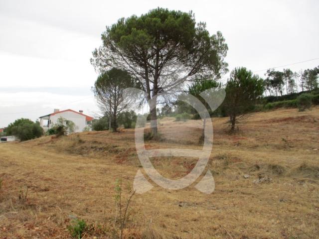 Terreno venda em Alhadas de Cima, Figueira Da Foz