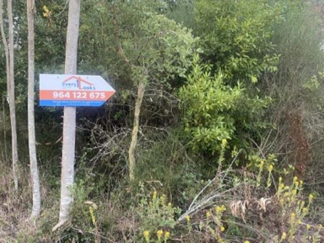 Terreno venda em Óbidos, Leiria