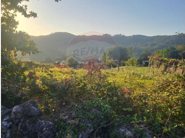 Terreno venda em Vale, Arcos de Valdevez