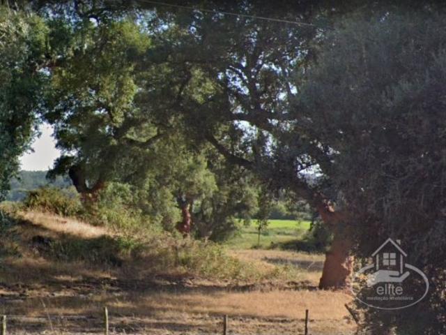 Terreno venda em Poceirão e Marateca, Palmela