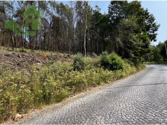 Terreno venda em Santo Tirso, Porto