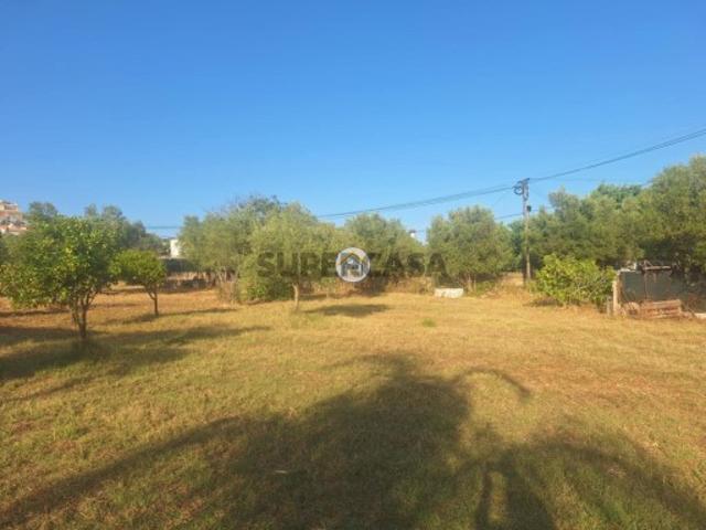 Terreno venda em São Brás De Alportel, Faro