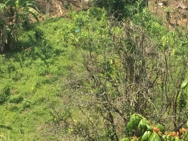 Terreno en venta en Yajalón, Chiapas
